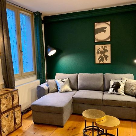 Appartements Des 2 Tetes Colmar Luaran gambar
