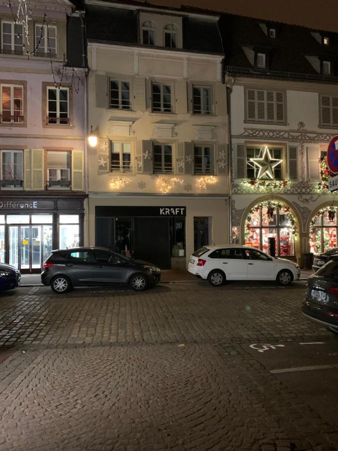 Appartements Des 2 Tetes Colmar Luaran gambar