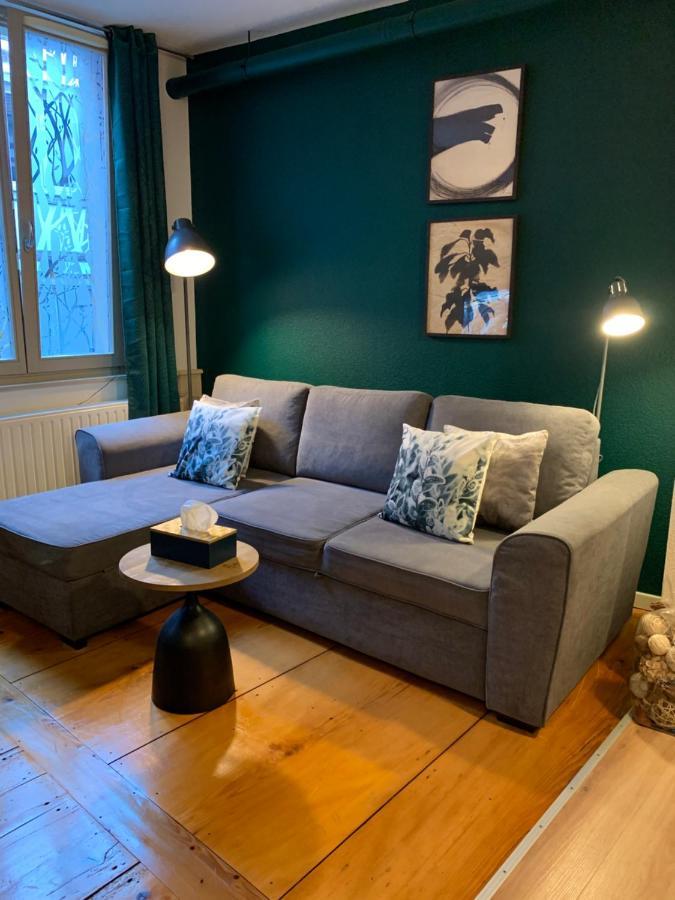 Appartements Des 2 Tetes Colmar Luaran gambar