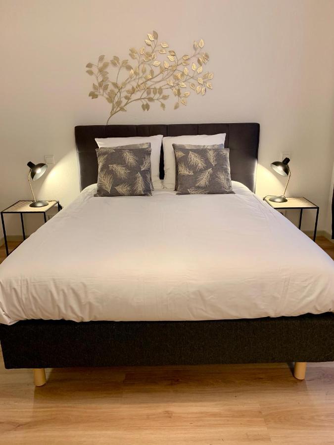 Appartements Des 2 Tetes Colmar Luaran gambar
