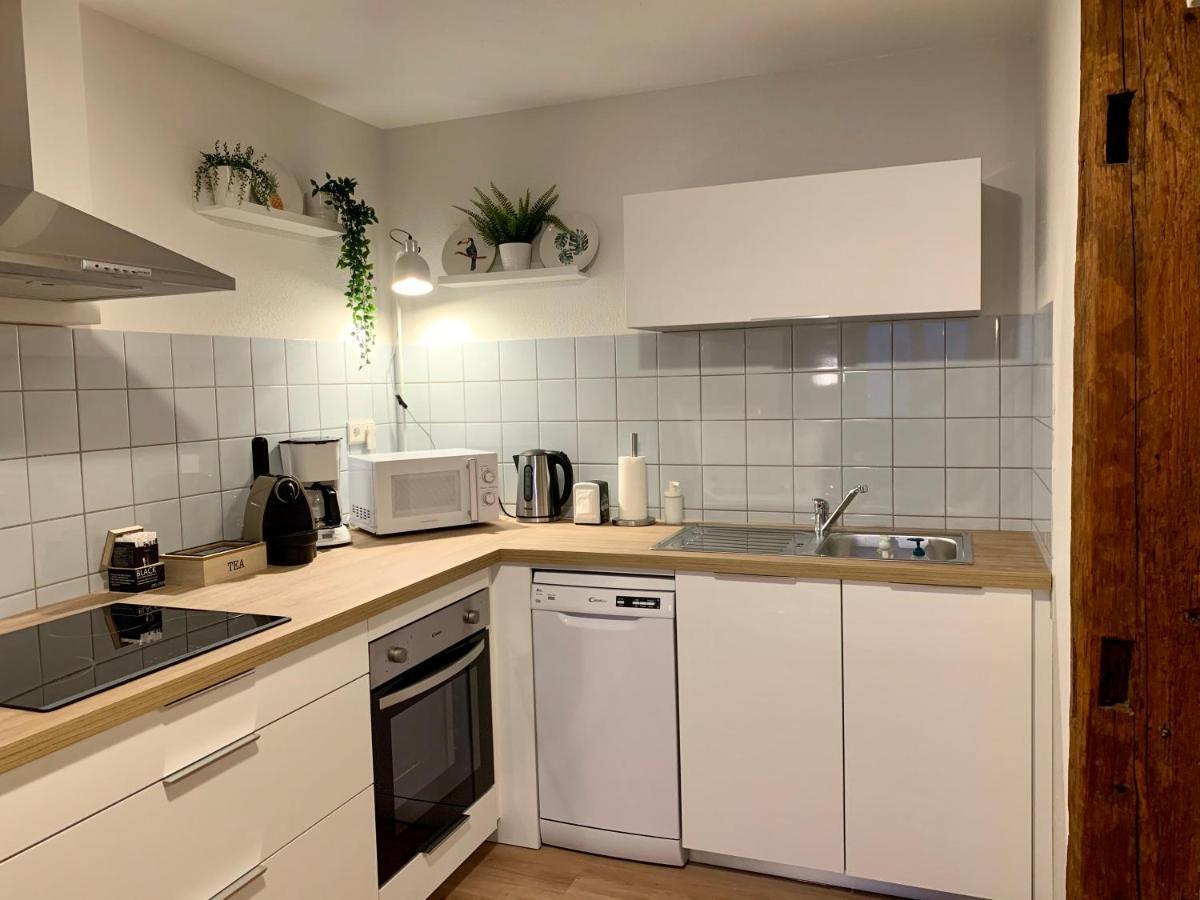 Appartements Des 2 Tetes Colmar Luaran gambar