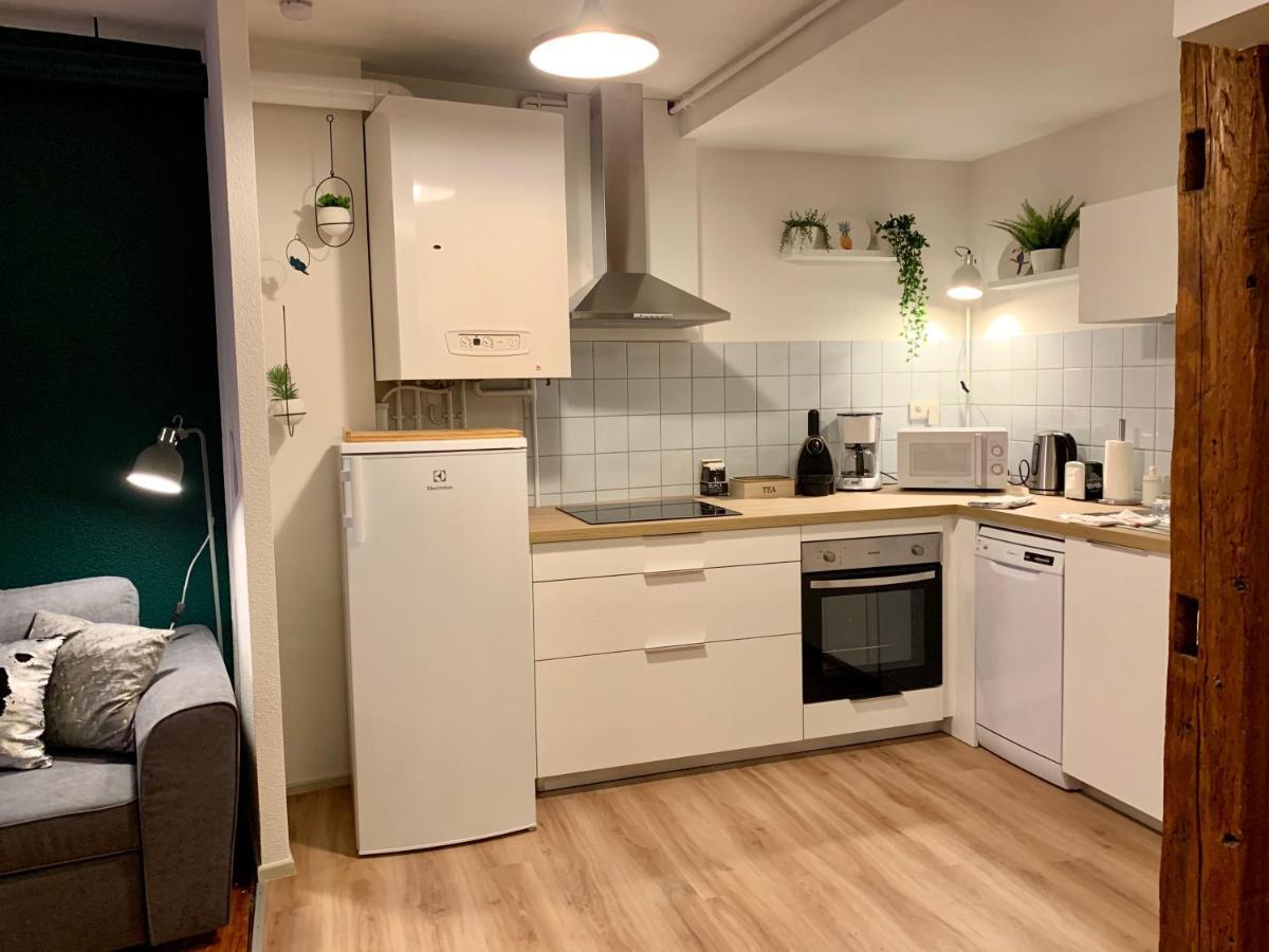 Appartements Des 2 Tetes Colmar Luaran gambar